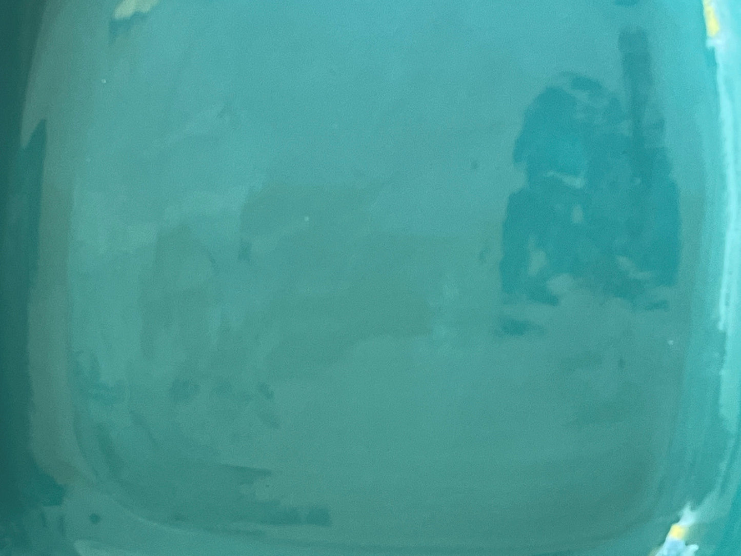 Large Oval Serving Tray